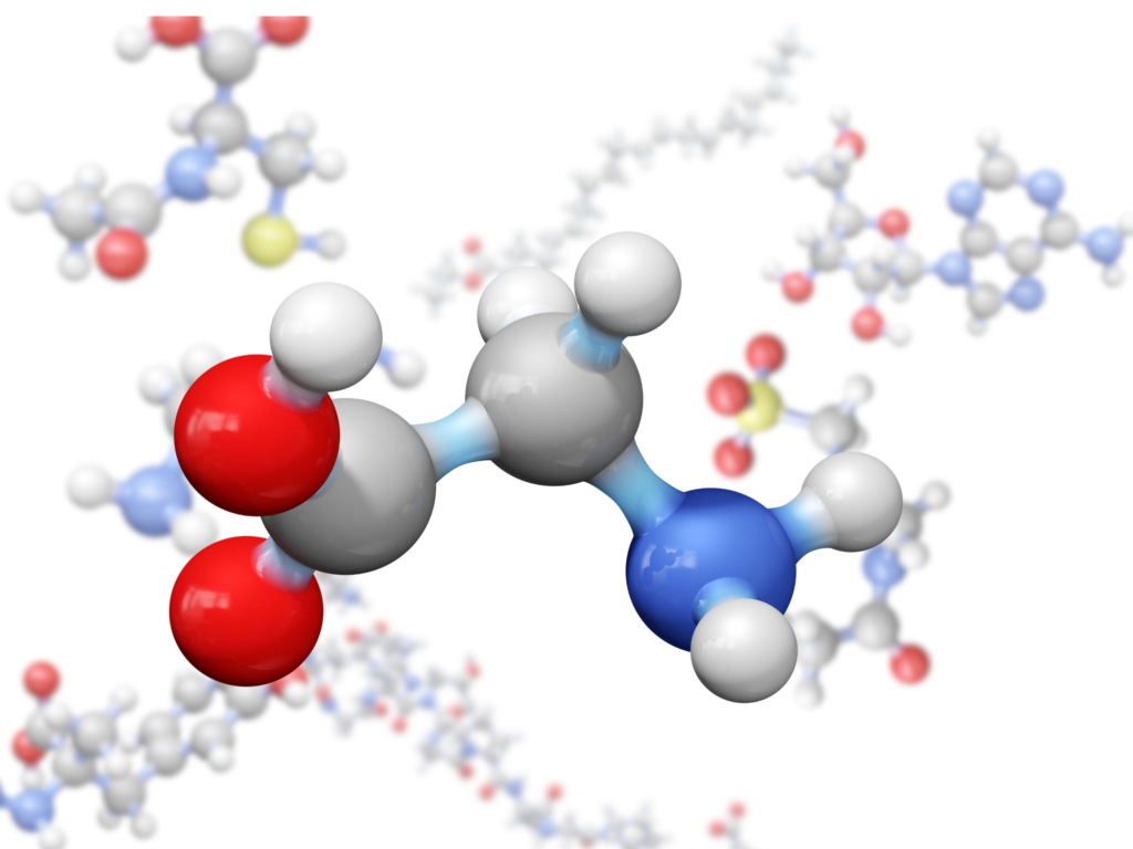 Introduction of amino acids